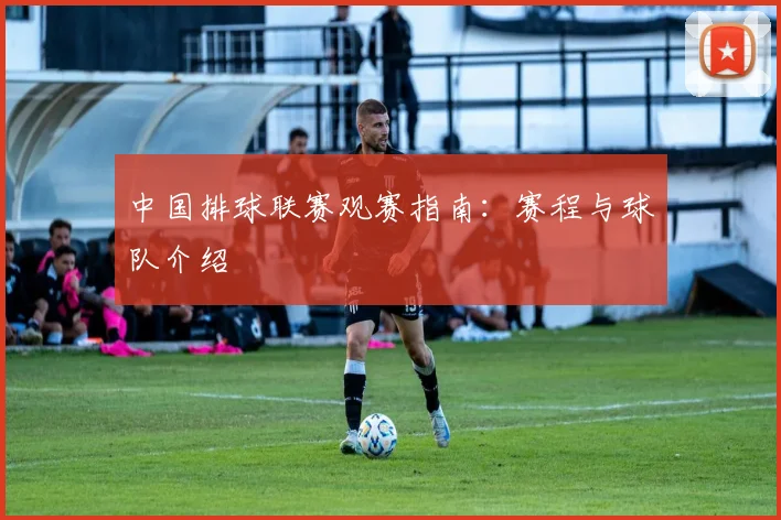 中国排球联赛观赛指南：赛程与球队介绍