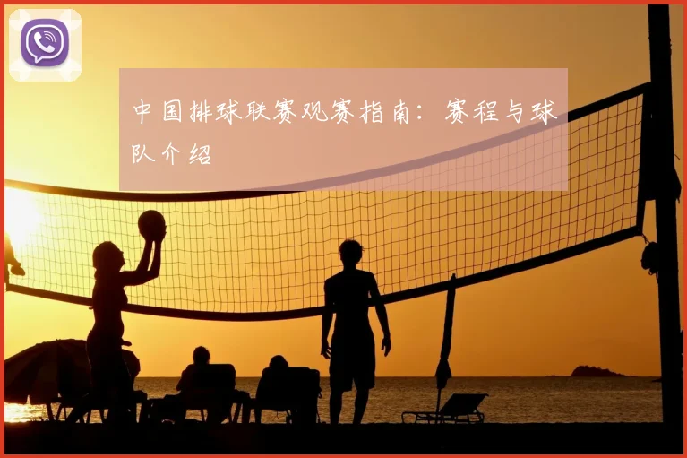 中国排球联赛观赛指南：赛程与球队介绍